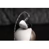 imageLinsoul Kiwi Ears Quintet in Ear Monitor 1DD  2BA  1 Planar  1 PZT Hybrid Driver Earphone with Detachable SilverPlated OFC Cable Metal Faceplate 3DPrinted Resin Shell for Musician Quintet