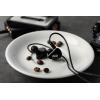 imageLinsoul ZiiGaat NUO in Ear Monitor 10mm LCP Dynamic Driver Wired Earbuds HiFi IEM Gaming Earbuds with Detachable 078mm 2Pin IEM Cable for Musician Stage