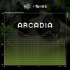 imageLinsoul ZiiGaat x HBB Arcadia in Ear Monitor 1DD2BA Hybrid Earphone IEM Wired Gaming Earbuds Professional Sound Isolating InnerEar Monitors with Detachable IEM Cable for Musician Audiophile