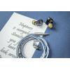 imageLinsoul Kiwi Ears KE4 in Ear Monitor 2DD2BA Hybrid Earphone ampamp Tripowin C01 IEM Cable 16 Core Hybrid CopperSilver Earphone Cable