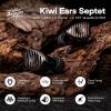 imageLinsoul Kiwi Ears Septet in Ear Monitor 1DD  4BA  1 Planar  1 PZT Quadbrid IEM Earphones HiFi Wired Earbuds Gaming Earbuds with 35mm44mm Modular Cable for Musicians Audiophiles
