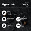 imageLinsoul ZiiGaat Lush in Ear Monitor 1DD4BA Hybrid Earphone IEM Studio Monitor Tunning Wired Earbuds with Detachable CableSilver Kiwi Ears Allegro Pro Upgraded IEM Earphone DACAMP