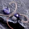imageLinsoul BLON Z200 HiFi 10mm Carbon Diaphragm Driver in Ear Earphones IEMs with Zinc Alloy Cavity Undetachable Cable Noise Canceling Earbud for Audiophile Musician Purple Without mic