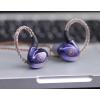 imageLinsoul BLON Z200 HiFi 10mm Carbon Diaphragm Driver in Ear Earphones IEMs with Zinc Alloy Cavity Undetachable Cable Noise Canceling Earbud for Audiophile Musician Purple Without mic