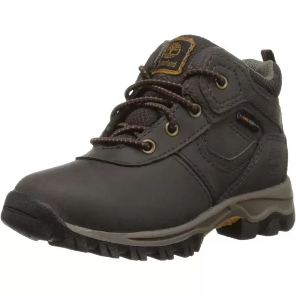 Timberland Unisex-Child Mt. Maddsen Waterproof Mid Leather Hiking Boots