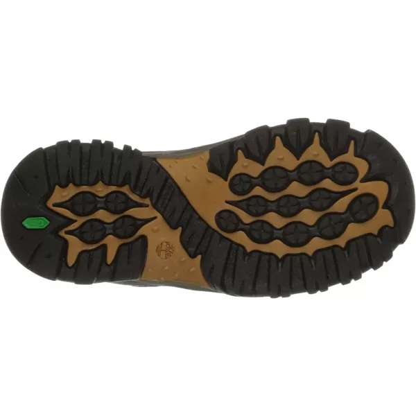 Timberland Unisex-Child Mt. Maddsen Waterproof Mid Leather Hiking Boots