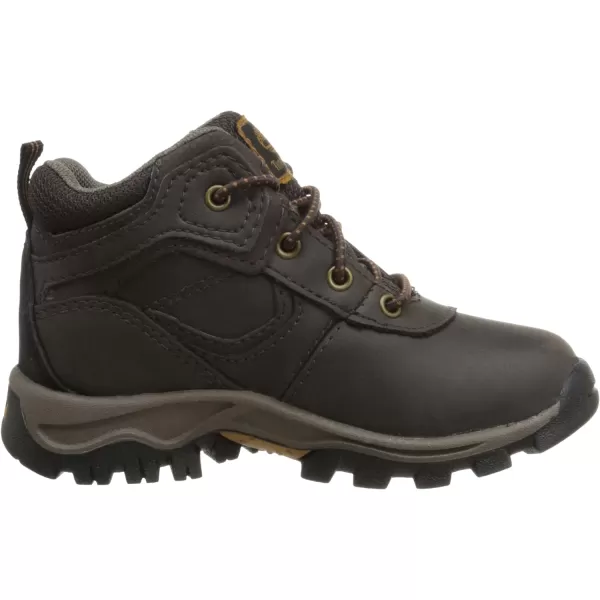 Timberland Unisex-Child Mt. Maddsen Waterproof Mid Leather Hiking Boots