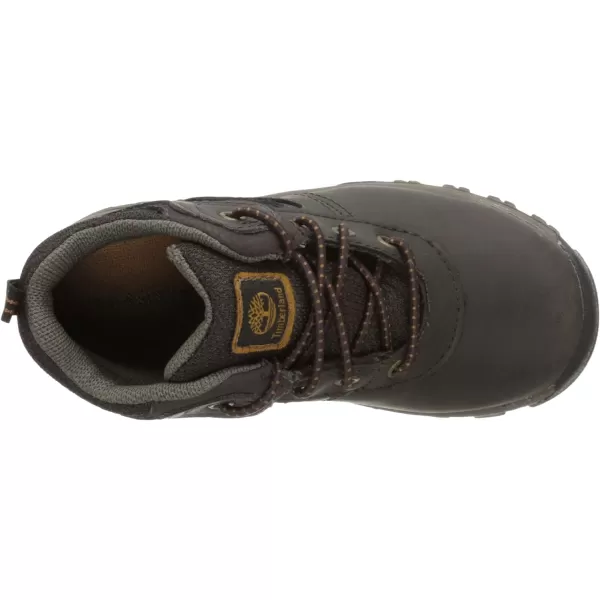 Timberland Unisex-Child Mt. Maddsen Waterproof Mid Leather Hiking Boots