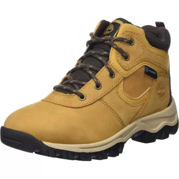 Timberland Unisex-Child Mt. Maddsen Waterproof Mid Leather Hiking Boots