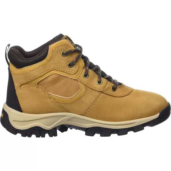 Timberland Unisex-Child Mt. Maddsen Waterproof Mid Leather Hiking Boots
