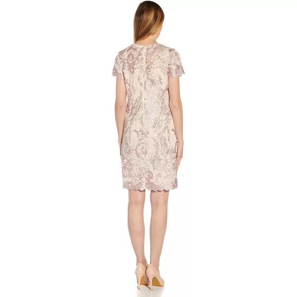 Adrianna Papell Womens Lace a Line Shift DressJoyful Blush