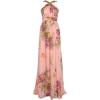 imageAdrianna Papell Womens Floral Printed Chiffon GownBlush Multi
