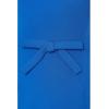 image:imageAdrianna Papell Womens Mini Bow Front Sheath Dress Cool Cobalt 2