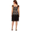 image:imageAdrianna Papell Womens Border Embroidery Midi DressBlackIvory