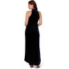 image:imageAdrianna Papell Womens Velvet High Low GownMidnight