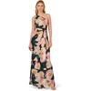 image:imageAdrianna Papell One Shoulder Chiffon GownBlackBlush Multi