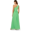image:imageAdrianna Papell One Shoulder Chiffon GownWild Apple