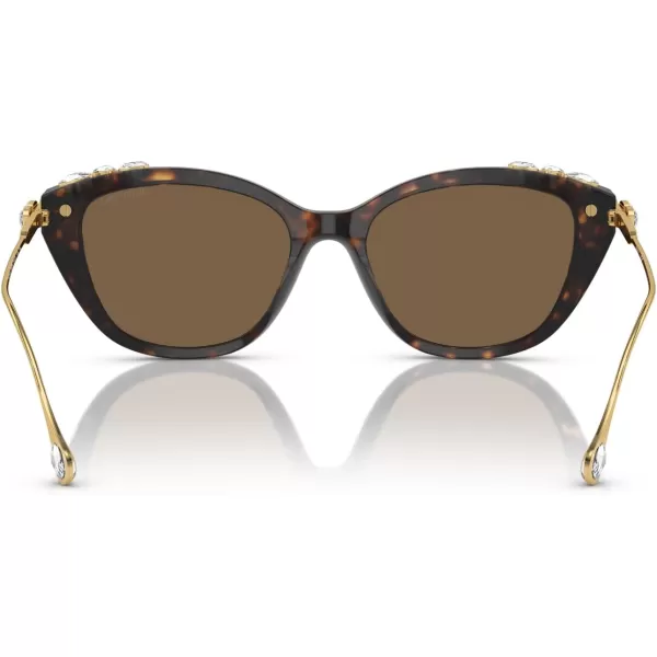 Swarovski Womens Sk6010 Cat Eye SunglassesHavanaDark Brown