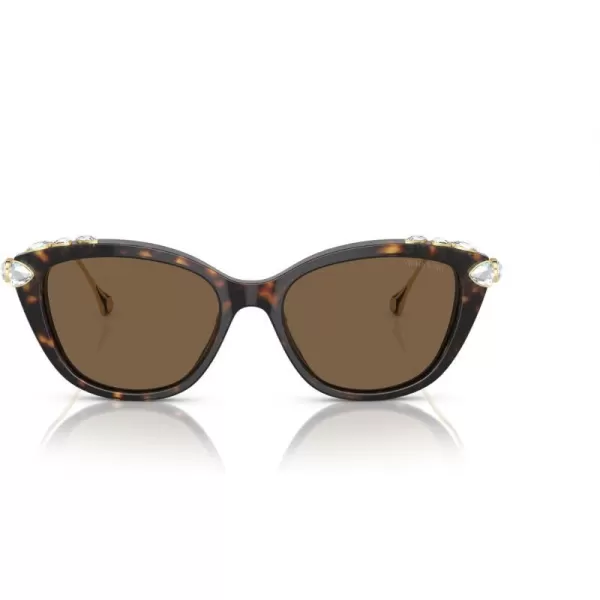 Swarovski Womens Sk6010 Cat Eye SunglassesHavanaDark Brown