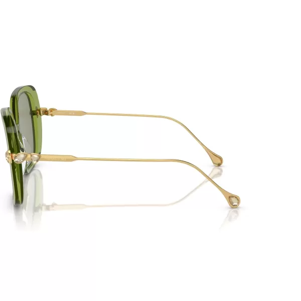 Swarovski Womens Sk6011 Square SunglassesTransparent GreenGreen