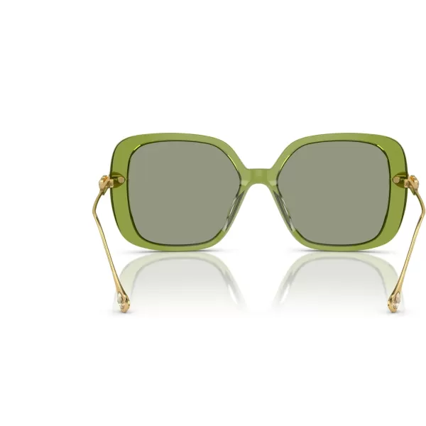 Swarovski Womens Sk6011 Square SunglassesTransparent GreenGreen