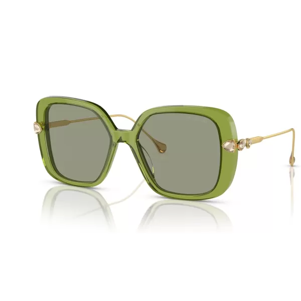 Swarovski Womens Sk6011 Square SunglassesTransparent GreenGreen
