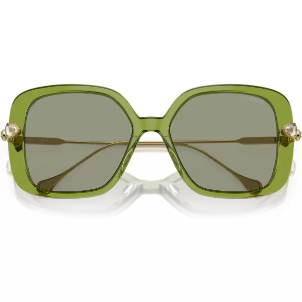 Swarovski Womens Sk6011 Square SunglassesTransparent GreenGreen