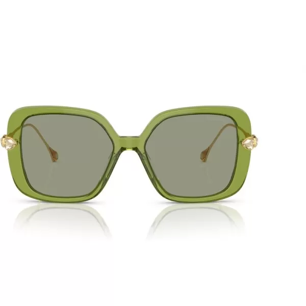 Swarovski Womens Sk6011 Square SunglassesTransparent GreenGreen