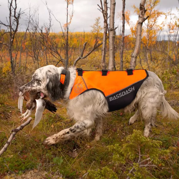 BASSDASH Dog Safety Vest Lightweight Water Resistant Chest Protection Blaze Orange Reflective High Visibility for Hunting OutdoorOrangeBlack Large