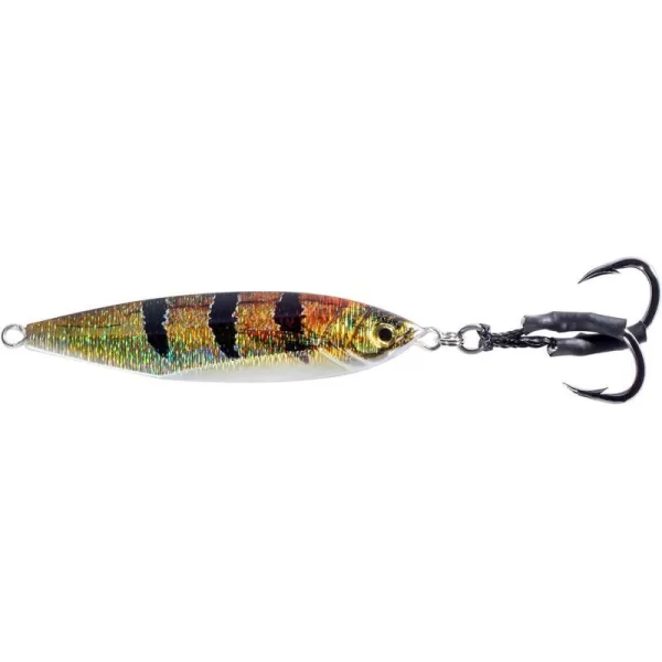 Bassdash Shadow Vertical Jigs Slow Jigging Lures Jerkbaits 100150200 Grams for Saltwater Freshwater FishingOne piece  Siamese Tiger Fish