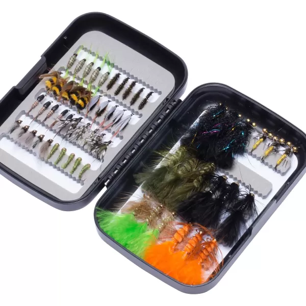 BASSDASH Fly Fishing Flies Kit Fly Assortment Trout Bass Fishing with Fly Box 366472768096pcs with DryWet Flies Nymphs Streamers Popper58 pcs assorted trout flies