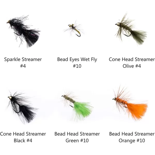 BASSDASH Fly Fishing Flies Kit Fly Assortment Trout Bass Fishing with Fly Box 366472768096pcs with DryWet Flies Nymphs Streamers Popper58 pcs assorted trout flies