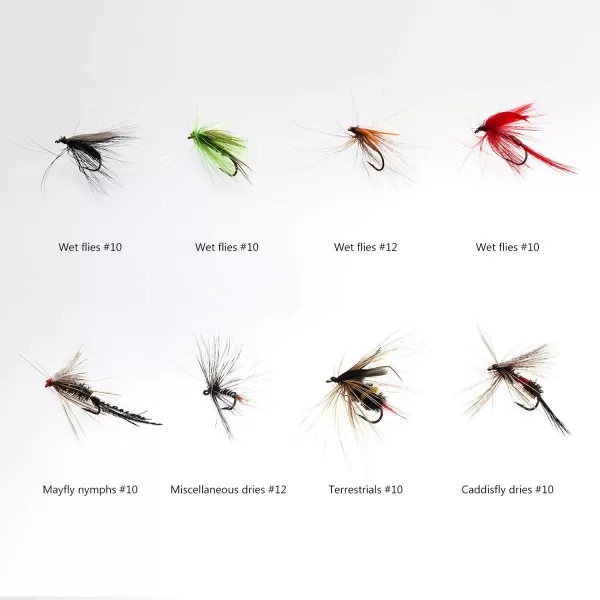 BASSDASH Fly Fishing Flies Kit Fly Assortment Trout Bass Fishing with Fly Box 366472768096pcs with DryWet Flies Nymphs Streamers Popper64 pcs assorted flies kit with magnetic fly box