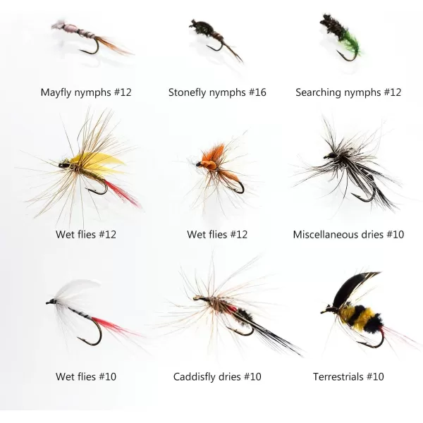 BASSDASH Fly Fishing Flies Kit Fly Assortment Trout Bass Fishing with Fly Box 366472768096pcs with DryWet Flies Nymphs Streamers Popper72 pcs assorted flies kit with waterproof fly box