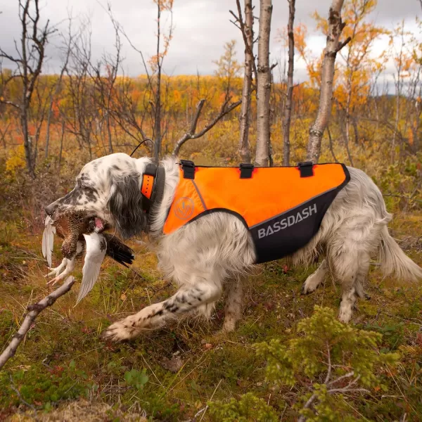 imageBASSDASH Dog Safety Vest Lightweight Water Resistant Chest Protection Blaze Orange Reflective High Visibility for Hunting OutdoorOrangeBlack