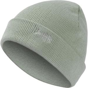 imageBASSDASH Winter Stretchy Knit Beanie Hats Soft Warm for Men Women Lightweight Stylish Unisex Cuffed BeaniesPea Green