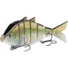 Emerald Shiner