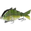 Largemouth Bass
