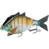 Orange Bluegill