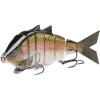 Rainbow Trout