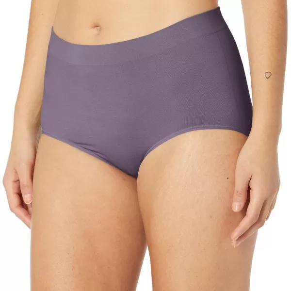 Bali Womens Seamless Panties Smoothing Brief Underwear FullCoverage Stretch Microfiber BriefsPerfectly Purple