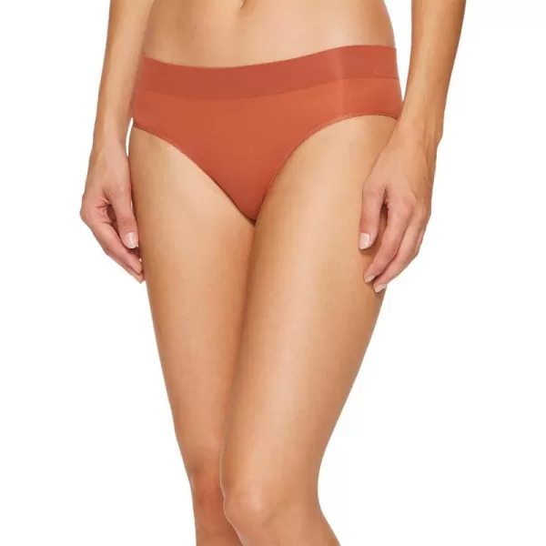 DKNY Womens Seamless Litewear Bikini PantyClay