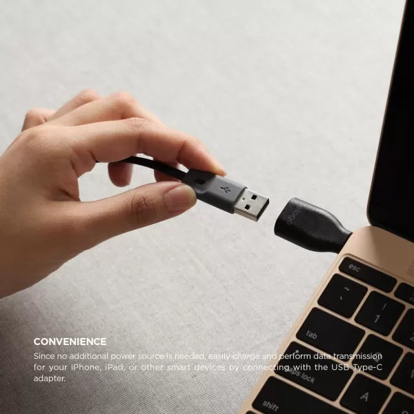 elago USBC to USB 30 Female Mini Adapter for New MacBook 12 inch ChromeBook Pixel and Other Devices with TypeC USB Whiteelago USBC to USB 30 Female Mini Adapter for New MacBook 12 inch ChromeBook Pixel and Other Devices with TypeC USB White