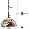 imageWERFACTORY Tiffany Pendant Light Plug in Hummingbird Amber Stained Glass 12 Inch Hanging Lamp S101 Series