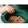 imageSilicone Collapsible Dog Travel Bowl or Kids Toddler Bowl For Eating onthego or at home  Dishwasher and Microwave Safe ampamp Non Toxic BlueForrest