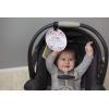 imageTHREE LITTLE TOTS  Please Dont Touch BabyCar Seat Sign or Stroller Tag  CPSIA Safety Tested FlowerFlower