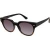 imageCircus NY by Sam Edelman Womens CC610 Retro Round Cat Eye SunglassesBlack  Tortoise