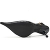 image:imageCircus NY by Sam Edelman Womens OakleeBlack