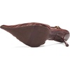 image:imageCircus NY by Sam Edelman Womens OakleeDeep Pecan