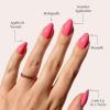 imageGlamnetic Press On Nails  Lime Green  Opaque Bright Neon Green Short Oval Fake Nails Reusable  15 Sizes  30 Nail Kit1Flamingo Pink